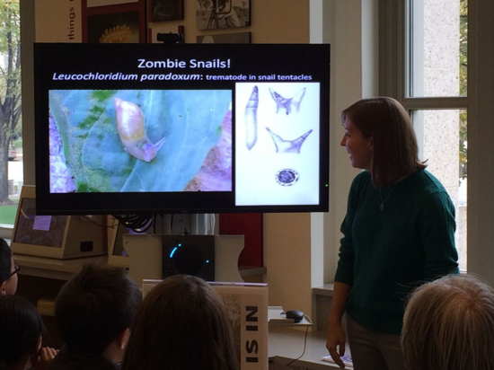 Visitors watch in awe as Anna shows a video of the flat worm Leucochloridium paradoxum burrowing into a snail’s eye stalks. (Photo: No Bones, NMNH)