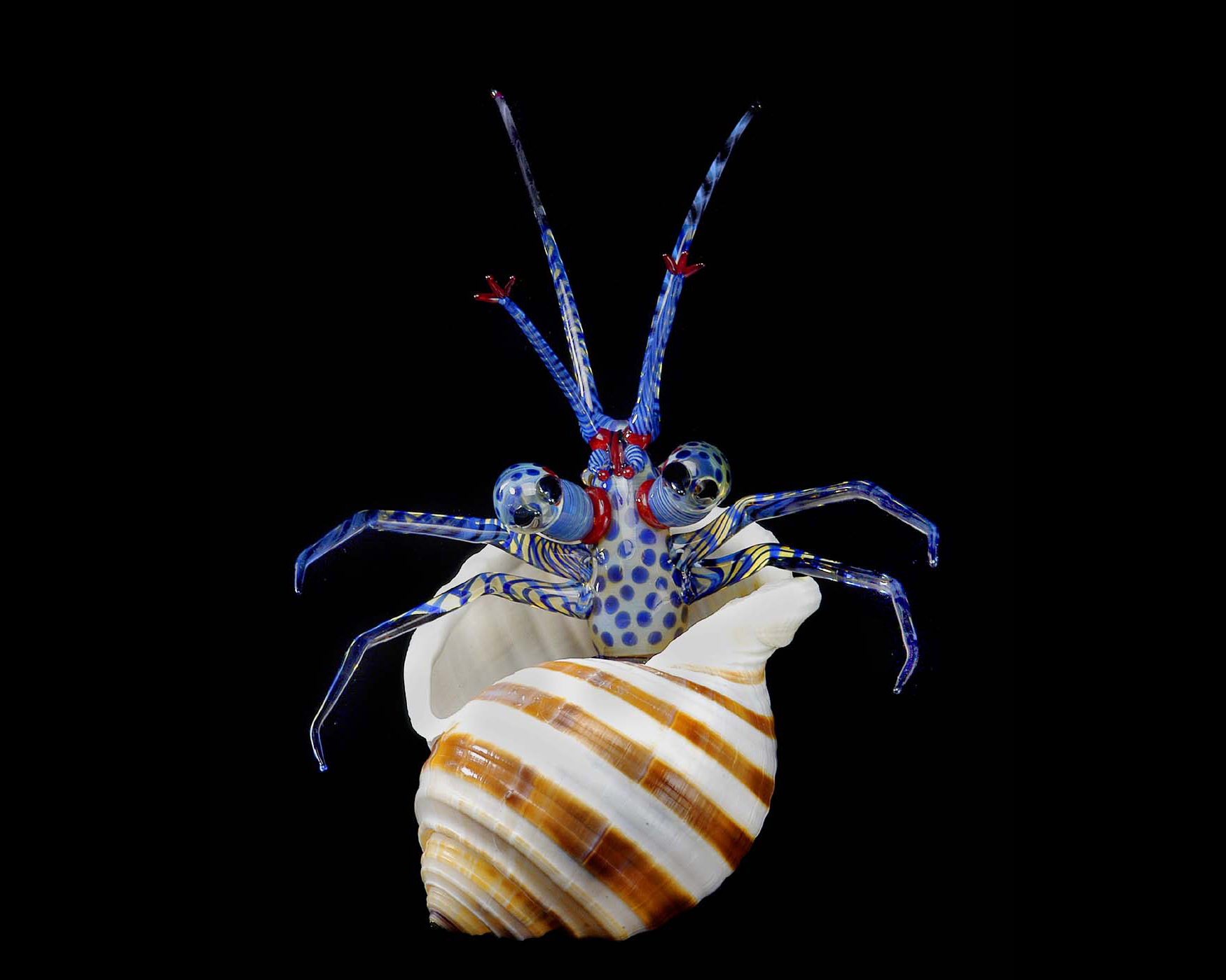 Click to view larger image Glass sculpture of a blue hermit crab emerging from a brown and white striped shell.