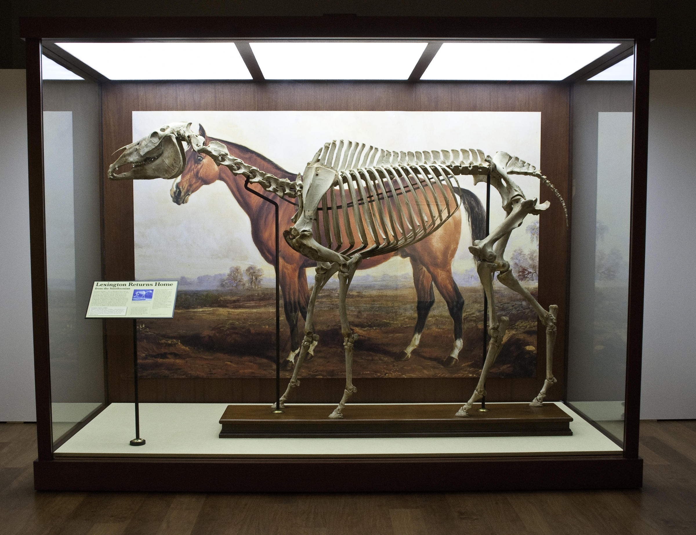 Below: Lexington on exhibition in Lexington. (Photos courtesy Bill Cooke)