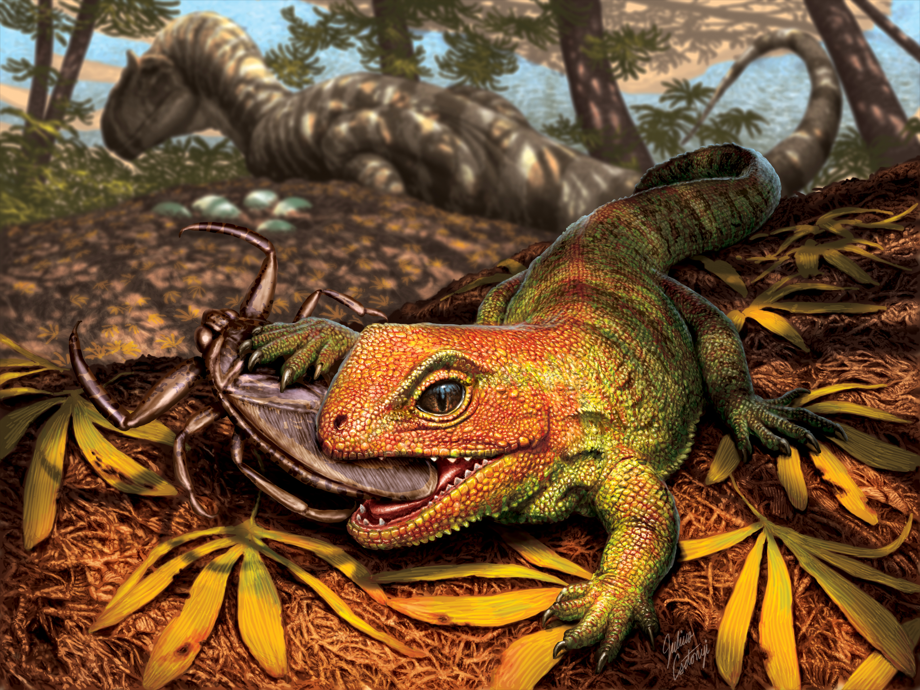 illustration of a lizard eating a bug in a forest