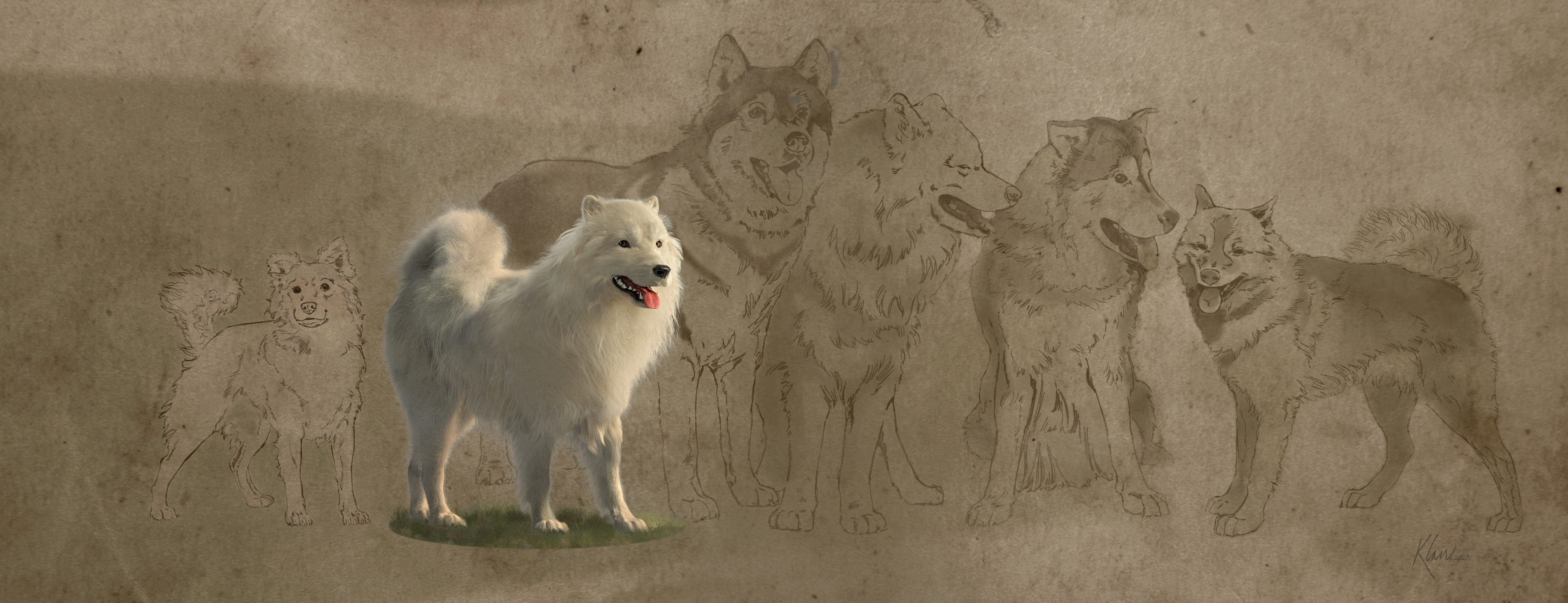 Computer-generated rendering of medium-sized, white, fluffy dog.