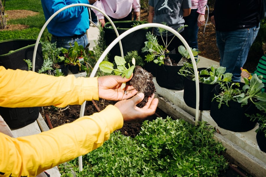 Picture of outstreched arms in yellow sleeves holding soil and plants in their hands.