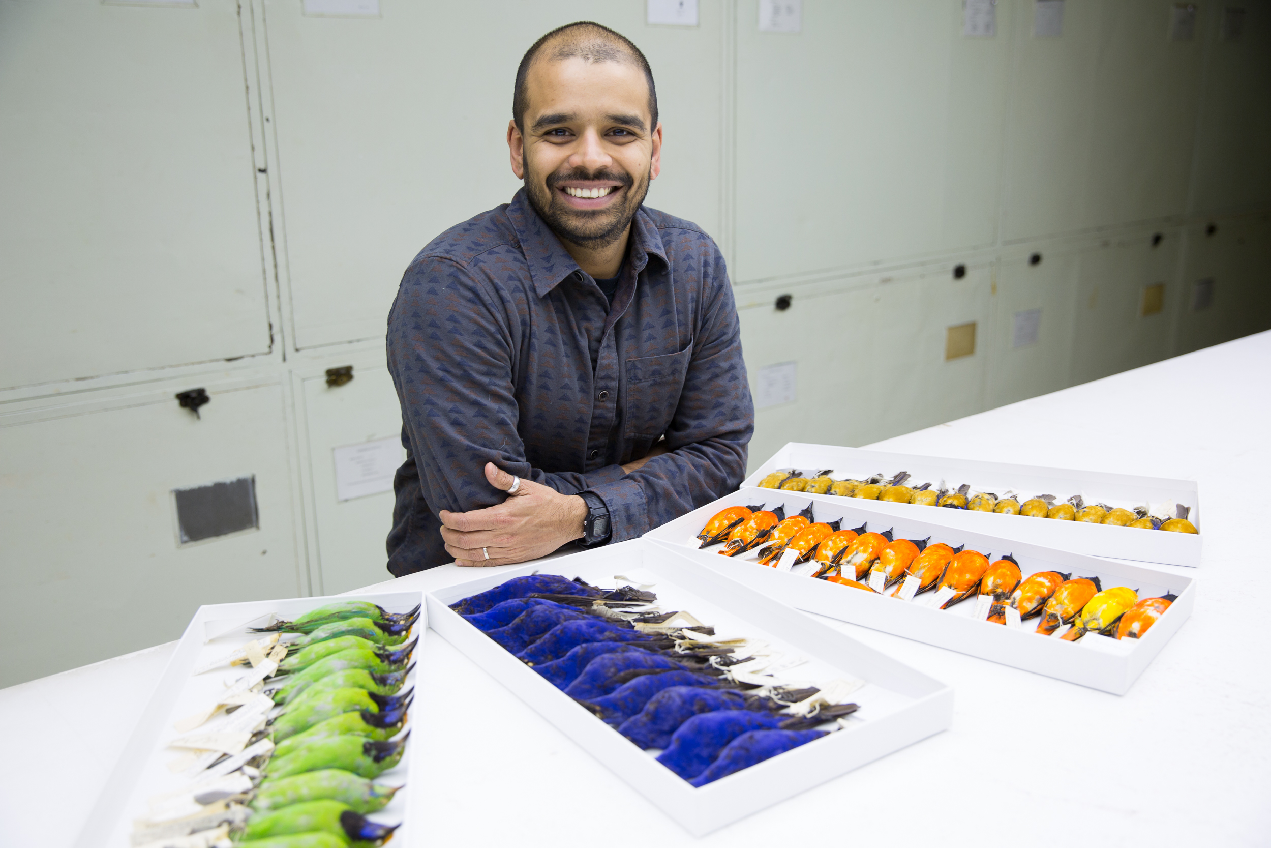 Man sits at table in front of bird specimens