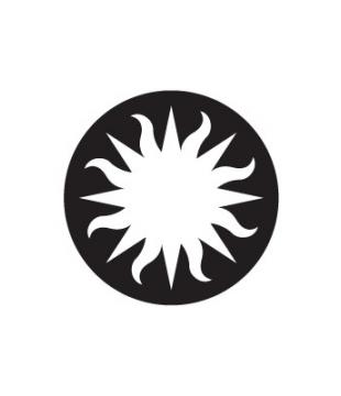 Smithsonian Sunburst