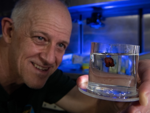 Allen Collins holds up a small container with a tiny jellyfish.