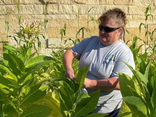 A woman in front of a building working on a garden.