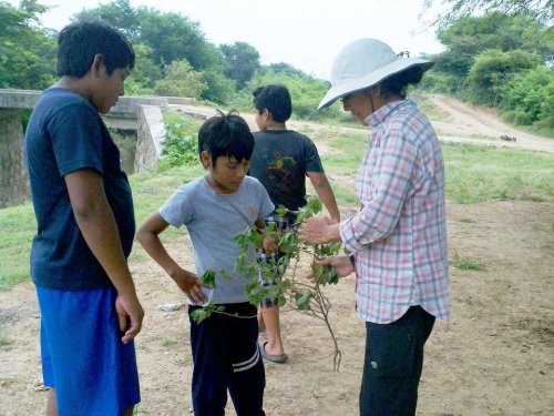 discussing the name of a plant