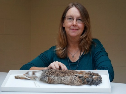 woman with rabbit specimen