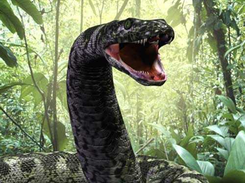 Titanoboa illustration