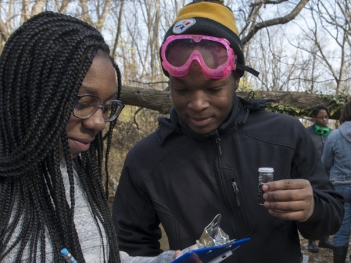 Two volunteers look at a clipboard while standing in the woods. 
