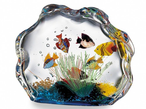 Glass decorative aquarium with a white background