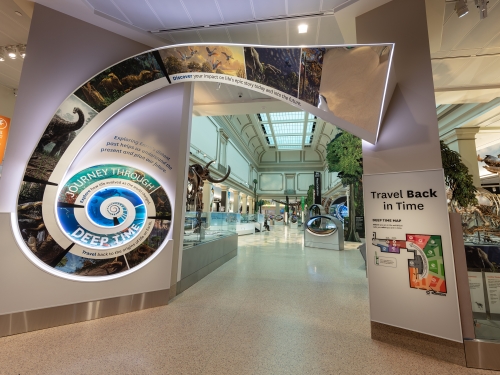 Entrance to museum gallery with large white doorway feature in shape of trumpet.