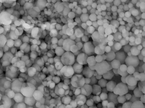 Microscopic close-up of circular particles.