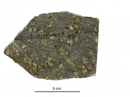 Image of a rock with grayish color and textured surface with irregular mossy green circles.