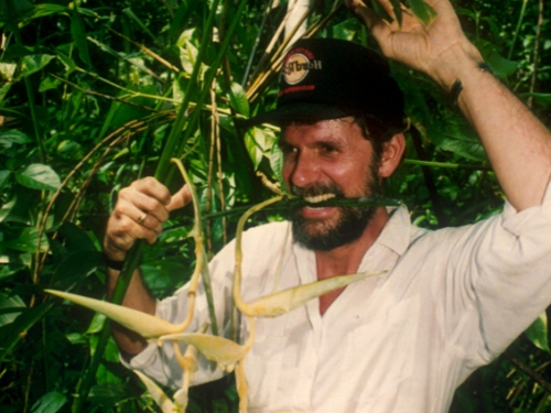 Man in button down and a black cap stands in the forest holding a leaf sample.