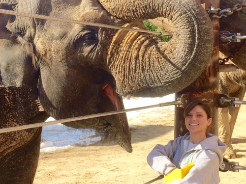 Elephant rolls trunk up happily as woman in gray jacket and khakis stands smiling next to the animal.