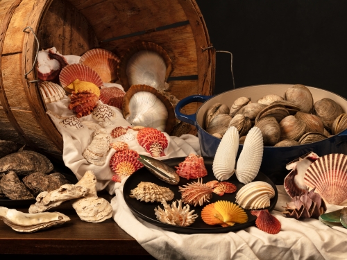 Still life photo of various clams and other bivalves spilling from a bushel basket