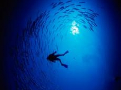 Ocean exploration diver