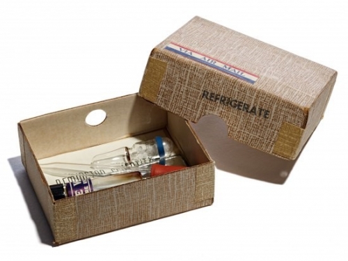 vaccine syringe in box