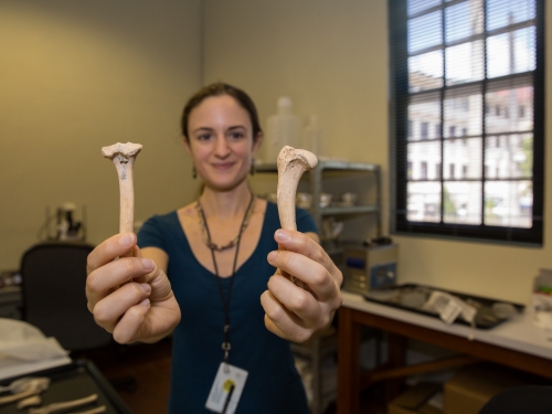 Scientist holding dog bones