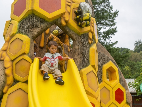 Child on bee-themed slide