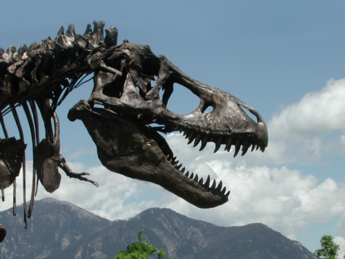 Wankel T. rex