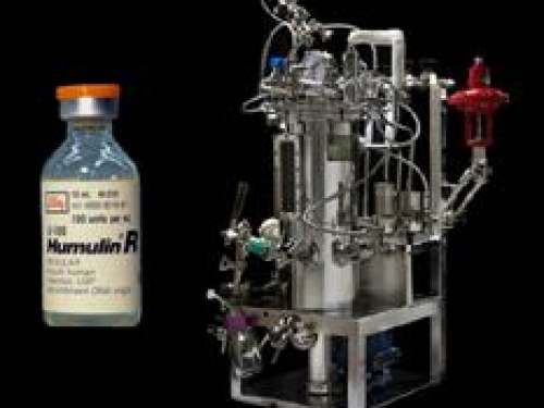 birth of biotech