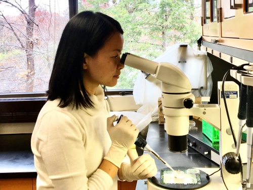woman looking in microscope