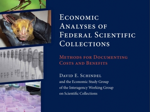 Report cover