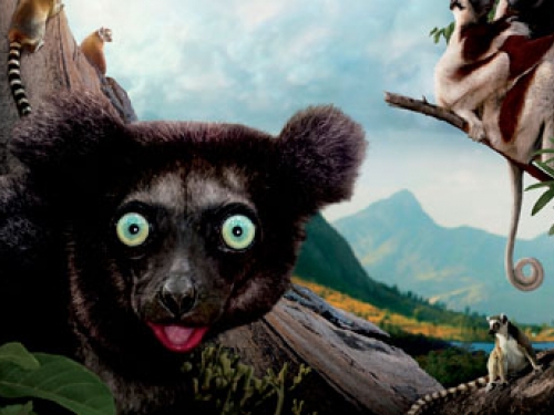 detail from Island of Lemurs poster