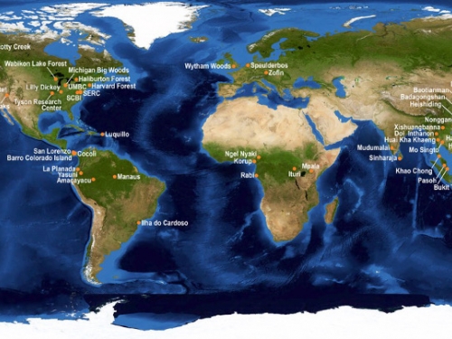 World map