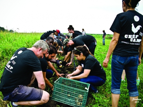 CHildren in Chef Camp T-shirts harvesting vegetables