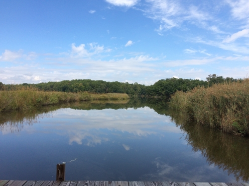river and marshland 