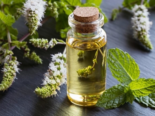 Essential oil