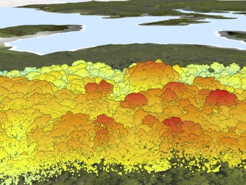 GEO-TREES LIDAR, laser scanning, to measure carbon