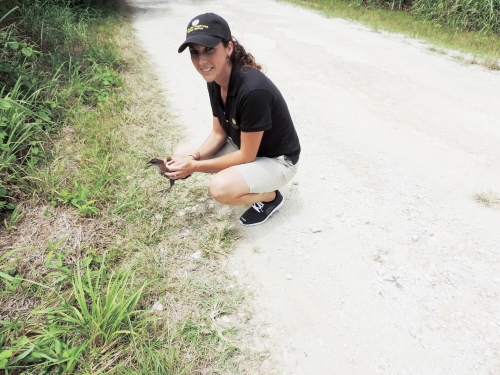 woman kneeling near brush holding bird