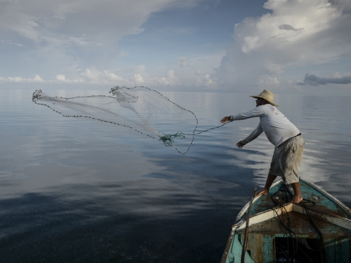 Fisherman casting seine net