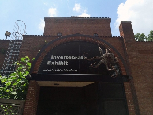 Invertebrate House