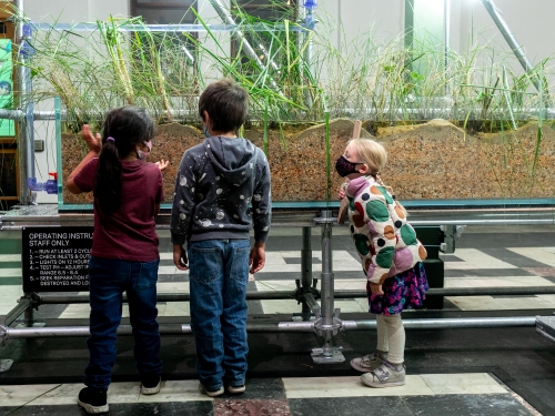 Three young children lean against an exhibition space about plants