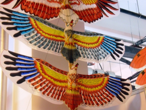 Kites