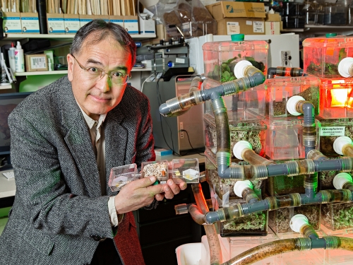 scientist with ant farm