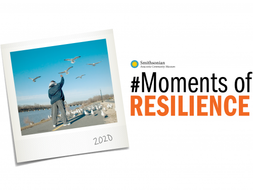 Logo for Moments of Resistance