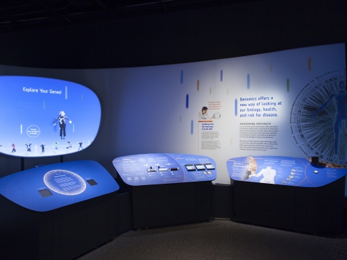 Museum exhibit