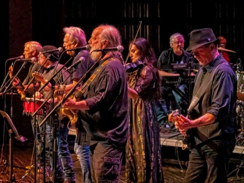 Members of the band Ozark Mountain Daredevils in performance