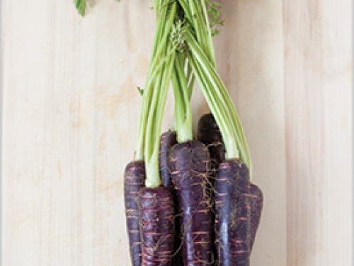 Purple carrots