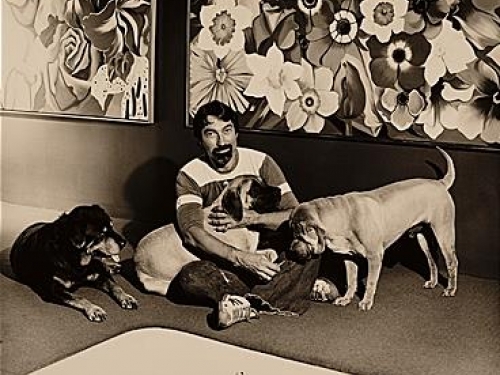 man with dogs