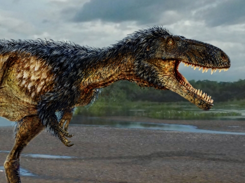 Artists rendering of new dinosaur (detail)