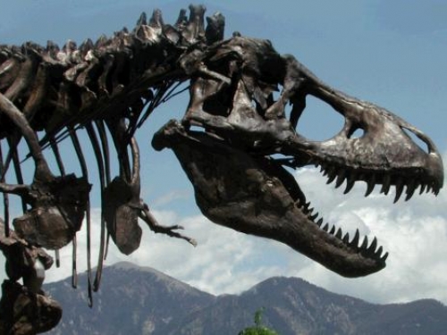 Wankle T. rex