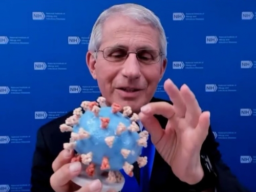 Dr. Fauci holds sculpture of a virus between his hands