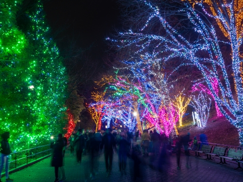 Nighttime image of people walking among trees lined with brightly lit, different colored trees.